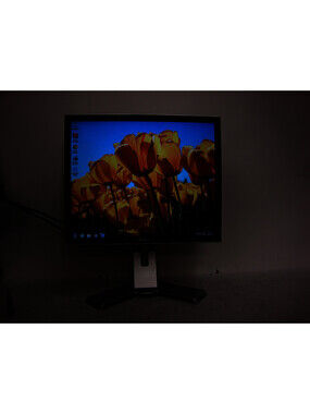 Dell 1908FP 19-Inch LCD Computer Monitor